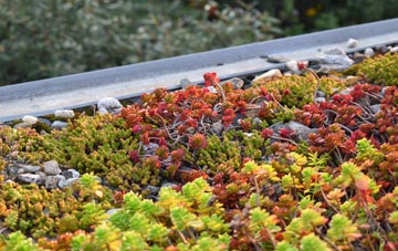 the cost of Great Thirkleby green roof installation
