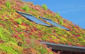 Great Thirkleby living roof systems