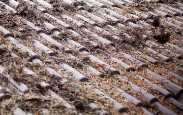 Great Thirkleby roof cleaning companies