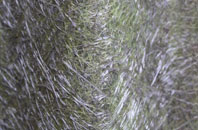 Great Thirkleby fibreglass roof work